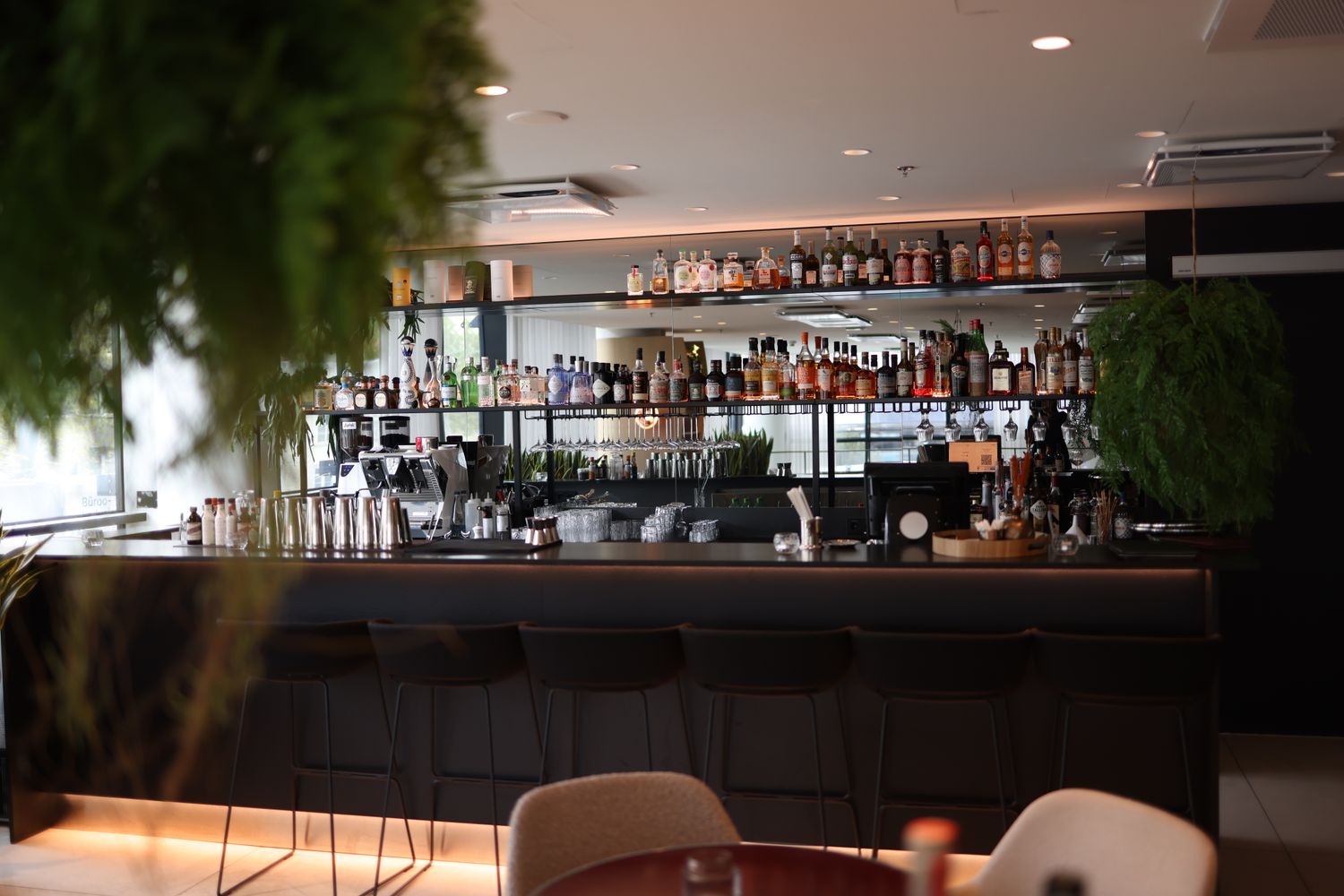 Modern bar with a long back shelf of bottles and hanging plants.